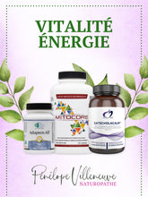 Trousse Vitalité Énergie